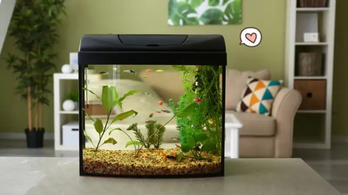 Diy aquarium filtration