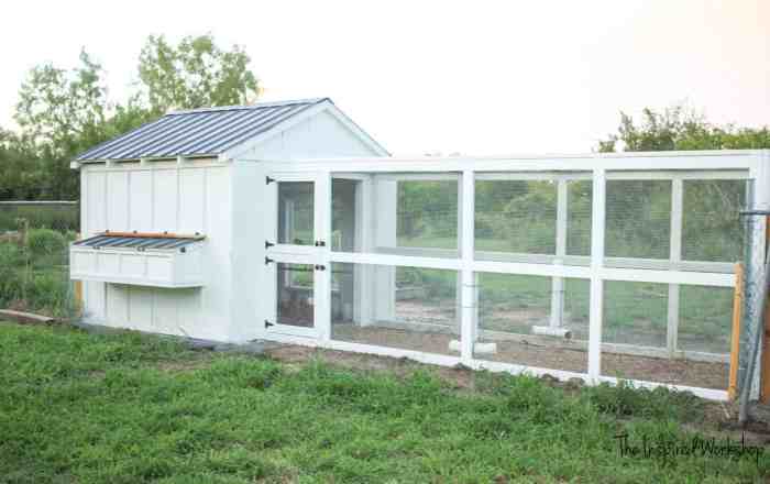 Diy chicken coop and run