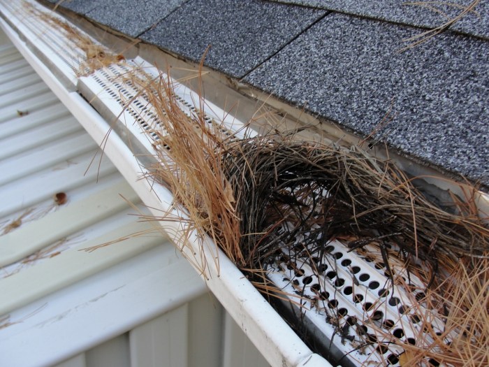 Diy gutter guard