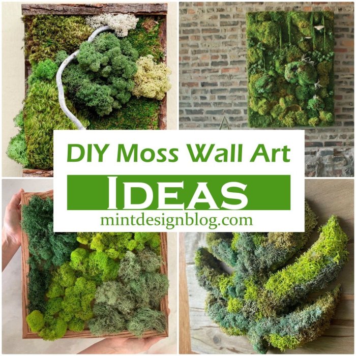 Diy moss wall