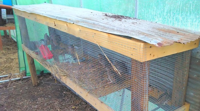 Diy backyard quail coop