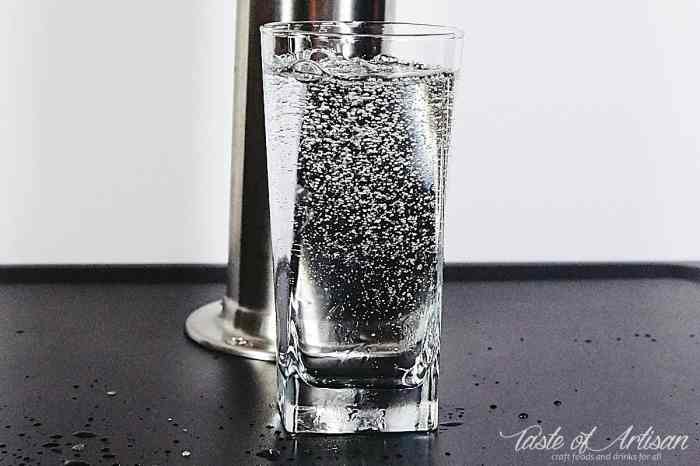 Diy carbonated water