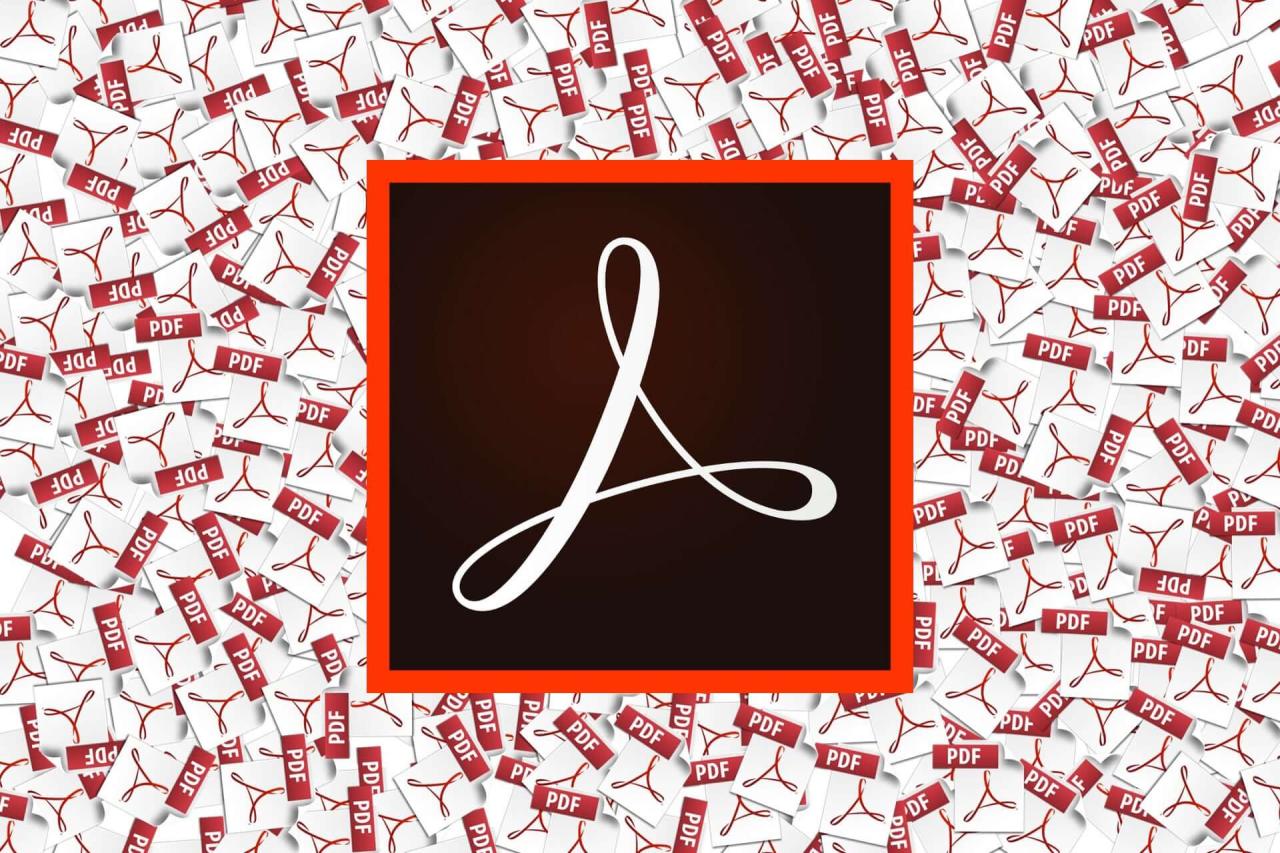 Adobe reader download