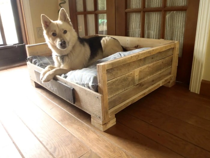 Diy dog beds