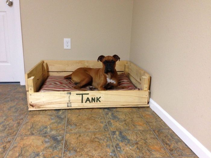 Diy dog beds