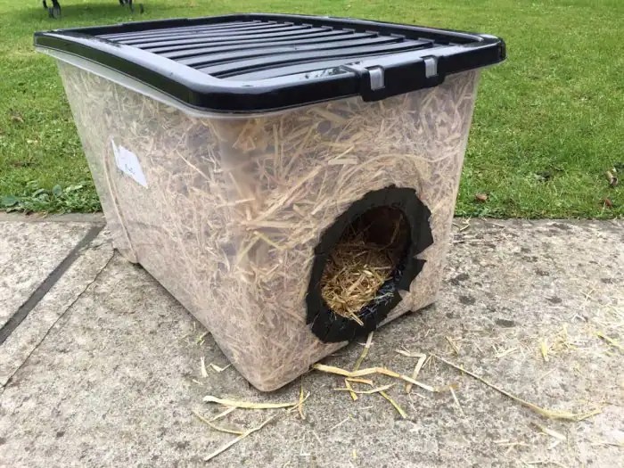 Diy feral cat shelter