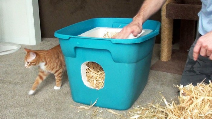 Diy feral cat shelter