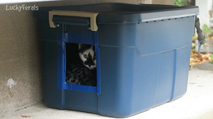 Feral shelter shelters bin insulated alley gallon straw bins coolers