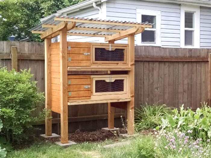 Diy backyard quail coop